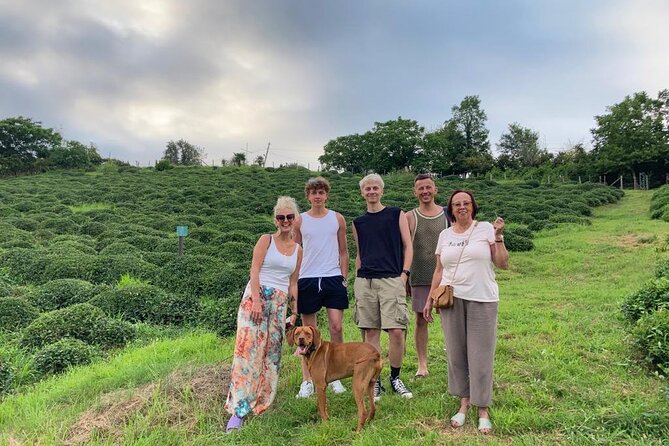 2 Hours Tea House and Tea Garden Trip in Ozurgeti Georgia - Authentic Georgian Tea Garden Experience in Guria