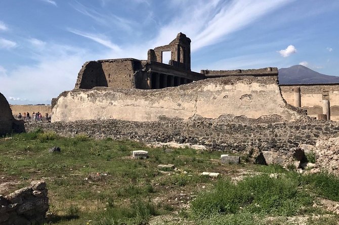 2 Hours Walking Tour in Pompeii with an Archaeologist - Highlights of the Pompeii Archaeological Park