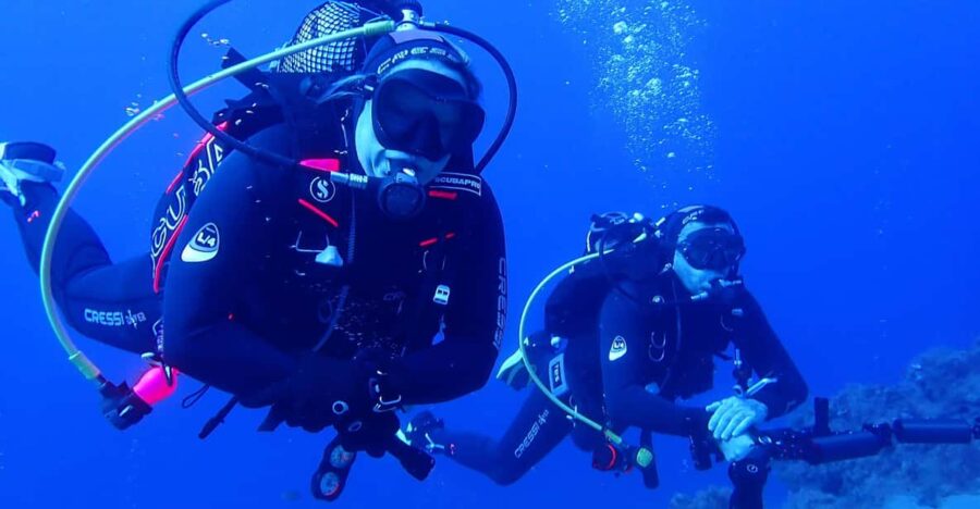 2 PRIVATE GUIDED DIVES - Personalized Dive Experience with Expert Guides