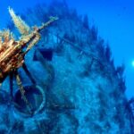 2 Scuba Fun Dives for Certified divers in St Paul's Bay - State-of-the-Art Equipment and Safety Measures