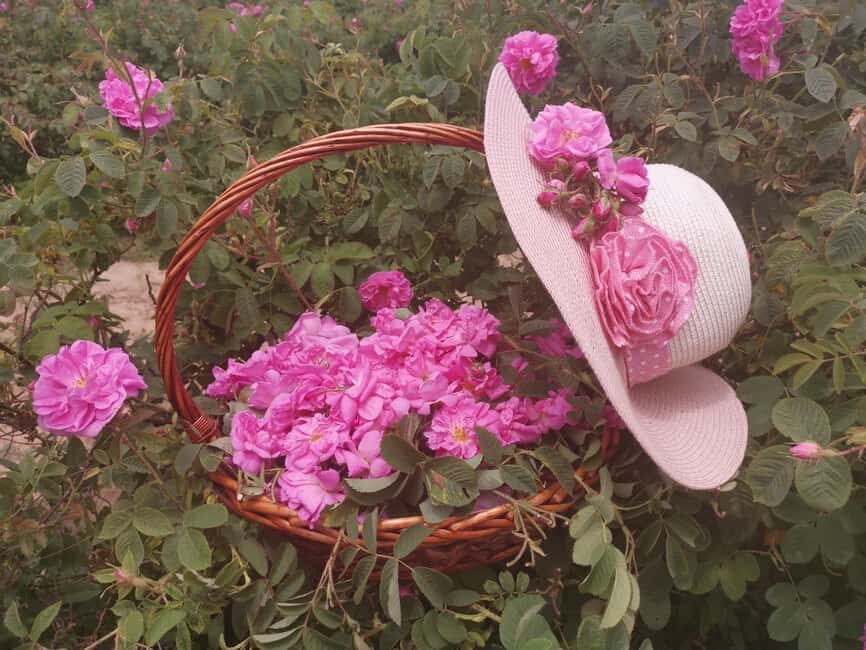 2026 Kazanlak Rose Festival Group Tour - Scenic Drive from Sofia to Plovdiv and Kazanlak