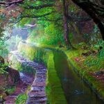 "25 Fountains" Walk / Lost In The Beautiful Forest - The Rabaçal Waterfalls and Lagoon Experience