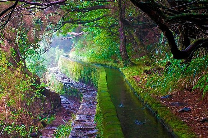 "25 Fountains" Walk / Lost In The Beautiful Forest - The Rabaçal Waterfalls and Lagoon Experience