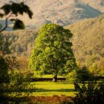 3-Day Lake District Explorer Small-Group Tour from Edinburgh - Day 2 Focus: Lakes, Villages, and a Cruise