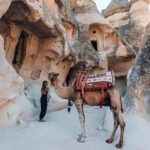 3 Days Cappadocia Tour Including Balloon Ride and Camel Safari - Pickup and Arrival at Cappadocia Airport