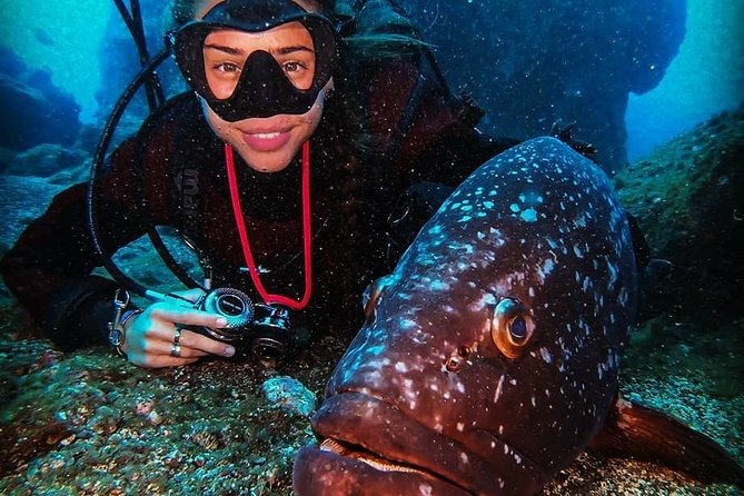 3 days Open Water Course | Scuba Diving - Training in the Pool: Building Confidence in a Controlled Environment