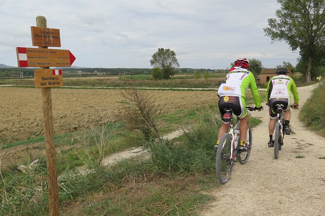 3-Hour Bike Tour and Wine in Tuscany: Nobile's Path - Navigating the Route to Montepulciano Lake