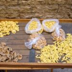 3 Hour Cooking Class in Bari with well-known Chef - Making and Tasting Typical Bari Dishes