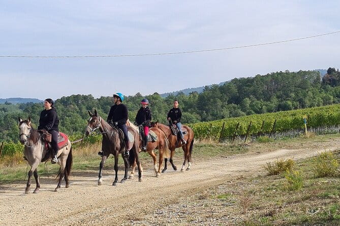 3 Hour Horse Ride to a Castle for Wine Tasting and snack Lunch - Riding in the Tuscan Hills: What to Expect