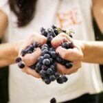 3-Hour Private Food and Wine Experience in Montalcino - Scenic Setting in the Tuscan Countryside