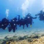 3 Hour Private Scuba Diving Experience - Getting Ready: Equipment and Safety Briefings
