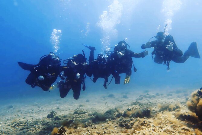 3 Hour Private Scuba Diving Experience - Getting Ready: Equipment and Safety Briefings