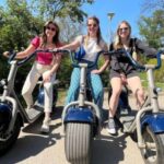 3 Hours Hamburg E-Scooter Tour - Starting Point and Practical Setup