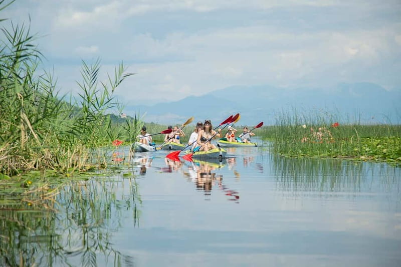 3h Guided Kayaking Adventure on Skadar Lake to hidden spots! - Meeting Point and Access to Skadar Lake