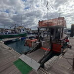 3H Shared Barrier-Free Cruise with Turtles Dolphins & Whales - The Fully Accessible Santa Rita Boat in Tenerife