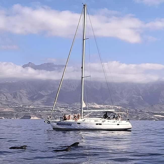 3h Whale Watching Share Tour Beneteau Oceanis 440 - The Vessel: A Spacious and Well-Equipped Sailing Boat