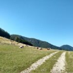 4-Hour Private Alpine Hiking Tour 'Matterhorn of the Prealps' - Exclusive Views of the Matterhorn of the Prealps