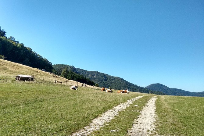 4-Hour Private Alpine Hiking Tour 'Matterhorn of the Prealps' - Exclusive Views of the Matterhorn of the Prealps