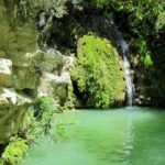 4 hour Quad & Buggy Safari Akamas(lara Bay) & Adonis Falls - Exploring the Scenic Stops in Akamas Peninsula