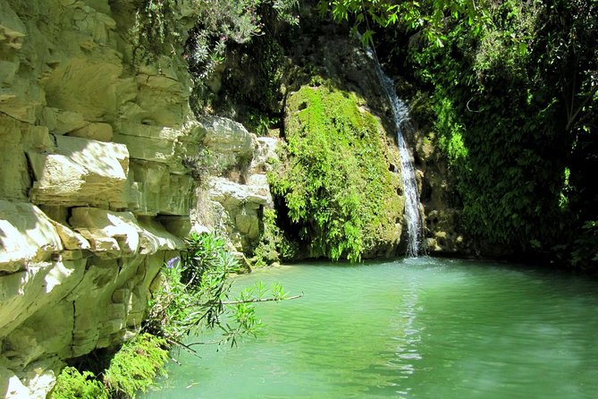 4 hour Quad & Buggy Safari Akamas(lara Bay) & Adonis Falls - Exploring the Scenic Stops in Akamas Peninsula