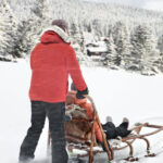 4hr Dog Sledding Trip on Finnmarksvidda - Learning to Drive: Dog Sledding Training and Equipment