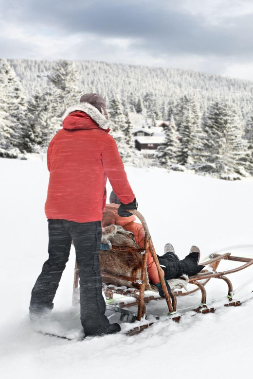 4hr Dog Sledding Trip on Finnmarksvidda - Learning to Drive: Dog Sledding Training and Equipment