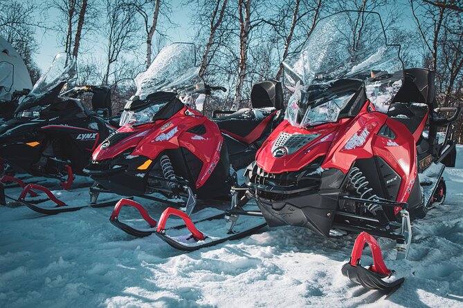 4hr Finnmarksvidda Snowmobile Adventure - Exploring the Remote Finnmarksvidda Mountain Plateau