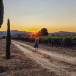 4x4 Adventure in the Secret Douro: Wines, Villages, and Flavors - Exploring the Douro in a 4x4 Jeep