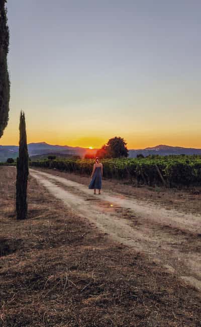 4x4 Adventure in the Secret Douro: Wines, Villages, and Flavors - Exploring the Douro in a 4x4 Jeep