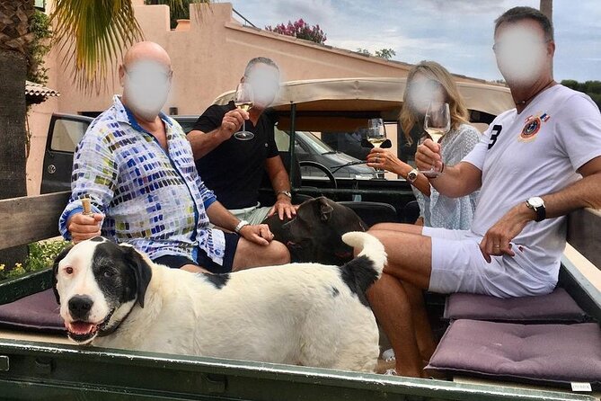 4x4 ride in a winery followed by a tasting - Stop at Domaine de la Sanglière for Vineyard Exploration