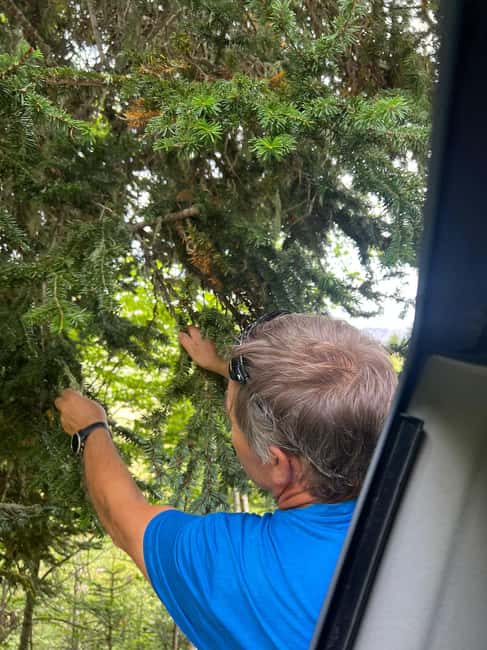 4×4 tour of the Aran Valley - Wildlife, flora and alpine landscapes - Practical Details and Accessibility for All