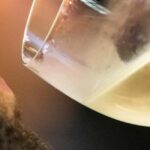 4x4 & Vinho Verde with transportation for the activity - From Porto to the Vineyards: Convenient Pickup Options