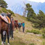 5-Day Horse Riding Tour in Caucasus - Day 2: Ascending Sanare Pass to Dartlo Village