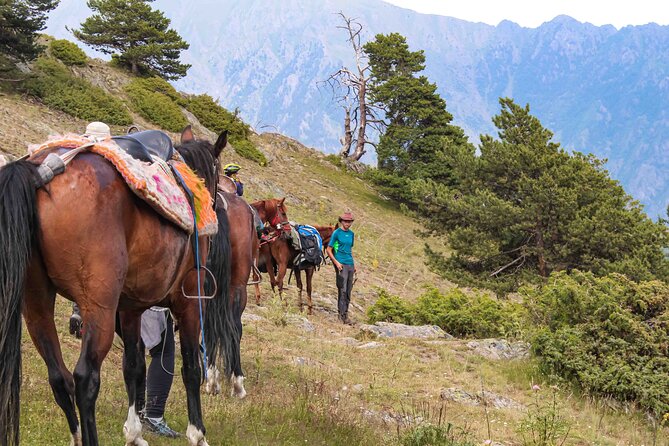 5-Day Horse Riding Tour in Caucasus - Day 2: Ascending Sanare Pass to Dartlo Village