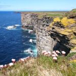 5-Day Orkney and Highlands Tour from Edinburgh - Practicalities: Logistics, Group Size, and Accommodation