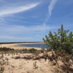 5 Hour Boat Tour in Ria Formosa - Extensive Time at Ilha da Culatra
