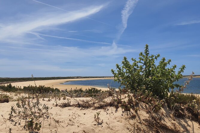 5 Hour Boat Tour in Ria Formosa - Extensive Time at Ilha da Culatra