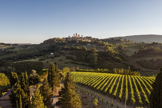 5 Wine Tastings in San Gimignano - Visiting the Vineyard and Cellars on a Guided Tour