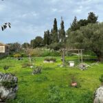 7 Hour Shared 4x4 Off Road Experience in Zakynthos - Starting Point and Transportation Details in Zakynthos