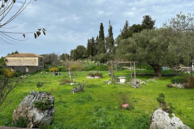 7 Hour Shared 4x4 Off Road Experience in Zakynthos - Starting Point and Transportation Details in Zakynthos