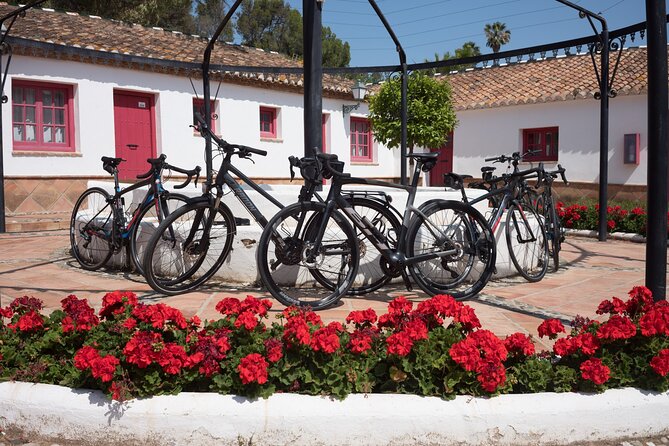 8 Day Guided Cycling and Walking Tour of Andalusia, Spain - Exploring Loja and Huétor Tajar: Small Villages with Big Views