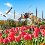 8 Days Turkey Tour Istanbul Cappadocia Ephesus Pamukkale by Anker - Cruising the Bosphorus and Exploring Istanbul’s Bazaars