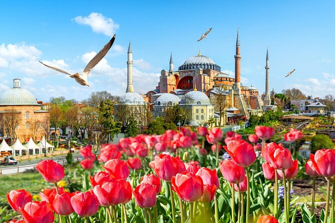 8 Days Turkey Tour Istanbul Cappadocia Ephesus Pamukkale by Anker - Cruising the Bosphorus and Exploring Istanbul’s Bazaars