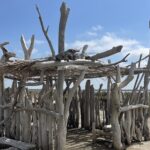 8 Hours Visit to the Camargue and the Salins dAigues-Mortes - Exploring the Fortified City of Aigues-Mortes