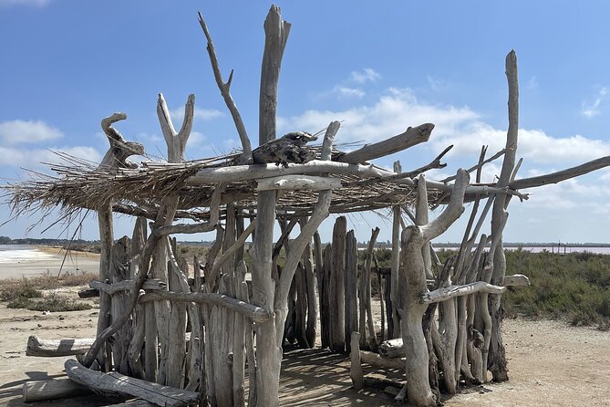8 Hours Visit to the Camargue and the Salins dAigues-Mortes - Exploring the Fortified City of Aigues-Mortes