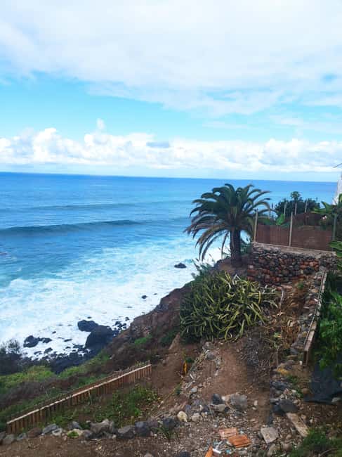 90-minute walking tour overlooking Barranco Ruiz, Tenerife - Discovering Barranco Ruiz and Its Enchanting Landscape