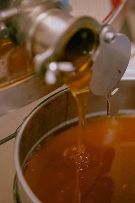 A day as a beekeeper: an adventure among mountains and nature - Exploring the Marche Countryside and Apiary