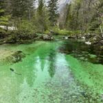 A day trip from Ljubljana: Magical nature and lake Bohinj - Starting from Ljubljana: Convenient Pickup and Drop-off