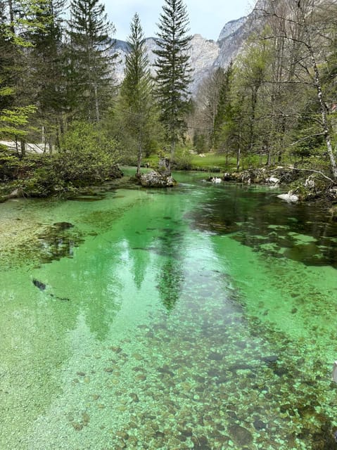 A day trip from Ljubljana: Magical nature and lake Bohinj - Starting from Ljubljana: Convenient Pickup and Drop-off