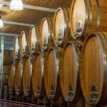 A delightful wine tasting in the scenic countryside with lunch - Authentic Czech Lunch at a Cozy Winery Restaurant